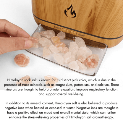 CozyLife™ Himalayan Salt Rock Aromatherapy Diffuser