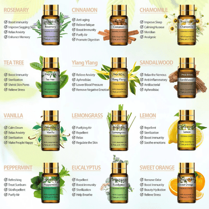 100% Pure Essential Oils Aromatherapy Boxed Set (15pcs)